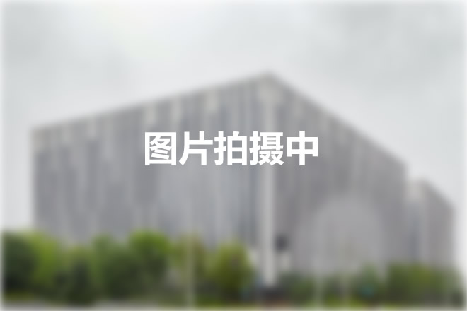 22"上海汤臣中心：租赁与购置风暴席卷天际线"