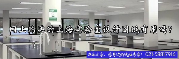 22"网上购买的上海实验室设计图纸有用吗？"